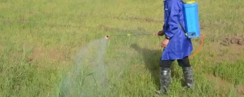 农药不能随便混配或加大用量,这是为什么?防止农药中毒还有哪些方法?-会东网