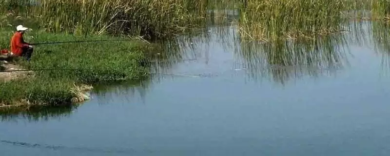 黑漂提竿却不中鱼,鱼口太滑时换成小钩细线真能降低其警惕性吗?-会东网