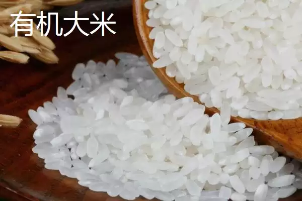 图片[2]-有机大米与绿色大米生产有何区别呢？-会东网