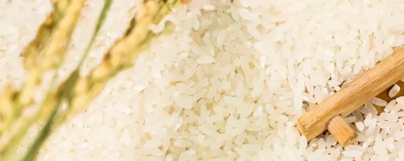 有机大米与绿色大米生产有何区别呢?-会东网