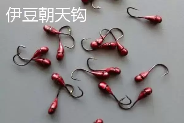 图片[5]-朝天钩为何是传统钓法必备的工具？它在钓鱼过程中有哪些不可替代的优势？-会东网