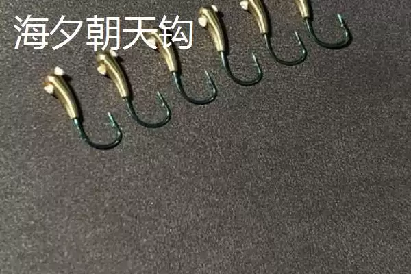 图片[3]-朝天钩为何是传统钓法必备的工具？它在钓鱼过程中有哪些不可替代的优势？-会东网