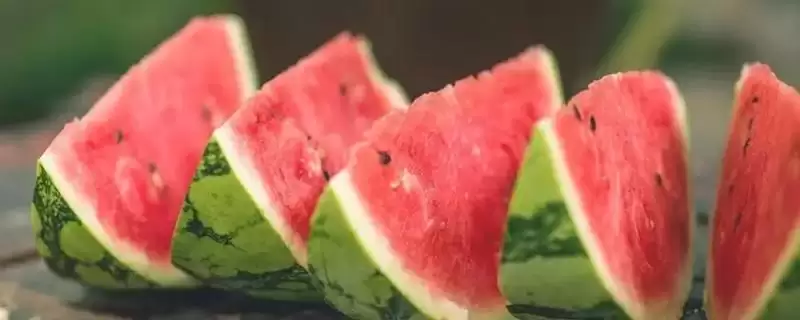 西瓜的种植方法，播种前晒种何作用？-会东网