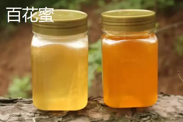 图片[5]-百花蜜为何适合在晚餐1-2小时后饮用？还有哪些食用方法？-会东网