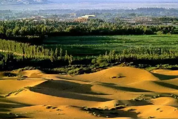 图片[7]-光棍树、仙人掌和沙柳等荒漠植物，它们是如何适应极端干旱环境的？常见的荒漠植物还有哪些？-会东网