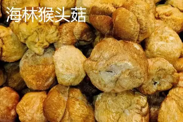 图片[6]-黑龙江牡丹江市的响水大米驰名中外，是什么造就了它的高品质？-会东网