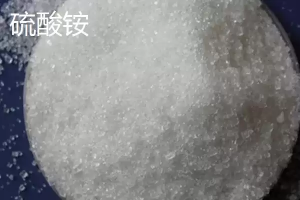 图片[6]-大棚韭菜对肥料需求不高，那应该如何科学施肥以保证产量和品质？大棚韭菜专用肥有哪些特点？-会东网