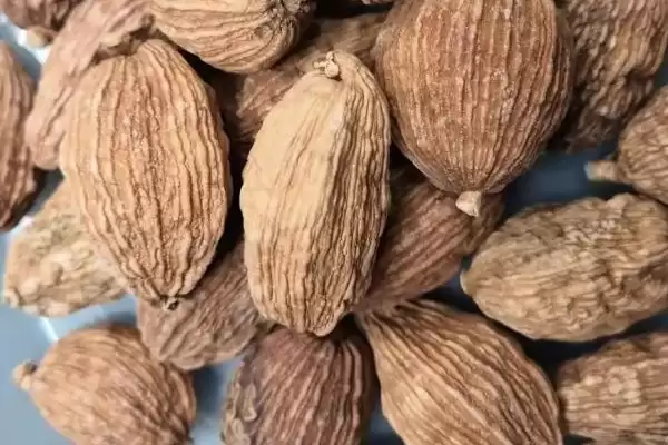 图片[4]-药食两用的草果，作为著名中药材和食材，在药用和食用方面分别有哪些功效和应用？-会东网