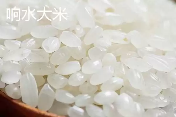 图片[10]-黑龙江牡丹江市的响水大米驰名中外，是什么造就了它的高品质？-会东网