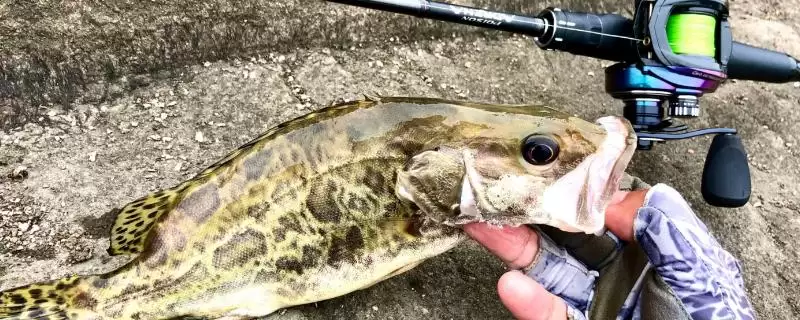 鳜鱼一般钓2-3米的深度，这个深度是如何确定的？还有其他合适深度吗？-会东网