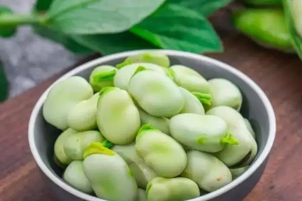图片[4]-蚕豆在全国哪些省份广泛分布？其产地分布有何特点？-会东网