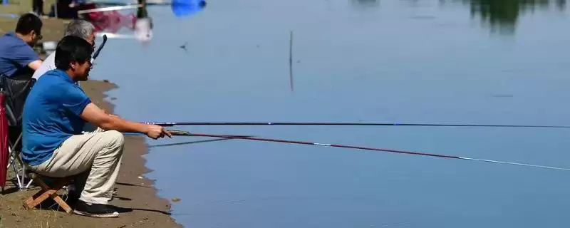 垂钓鲫鱼时,袖钩为何是首选鱼钩?钩尖锋利对垂钓效果有多大影响?-会东网
