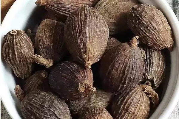 图片[2]-药食两用的草果，作为著名中药材和食材，在药用和食用方面分别有哪些功效和应用？-会东网