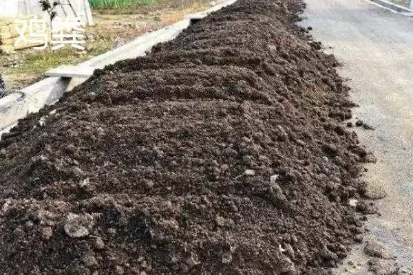 图片[2]-大棚韭菜对肥料需求不高，那应该如何科学施肥以保证产量和品质？大棚韭菜专用肥有哪些特点？-会东网