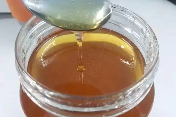 图片[2]-蜜源是豆科直立灌木胡枝子的胡枝子蜜，有哪些独特的品质？-会东网