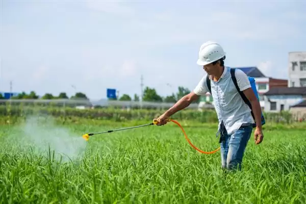 图片[6]-施肥时用充分腐熟的有机肥，真的能有效防治地蚕吗？防治地蚕还有哪些土办法？-会东网