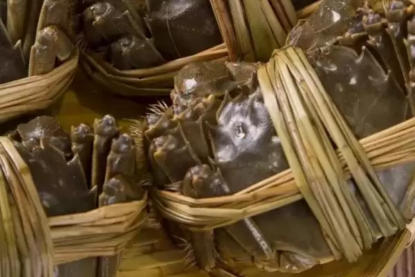 图片[3]-洪湖市大闸蟹品质佳，当地苛刻的水域环境起到了哪些关键作用？-会东网