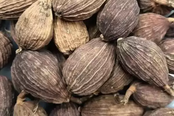 图片[3]-药食两用的草果，作为著名中药材和食材，在药用和食用方面分别有哪些功效和应用？-会东网