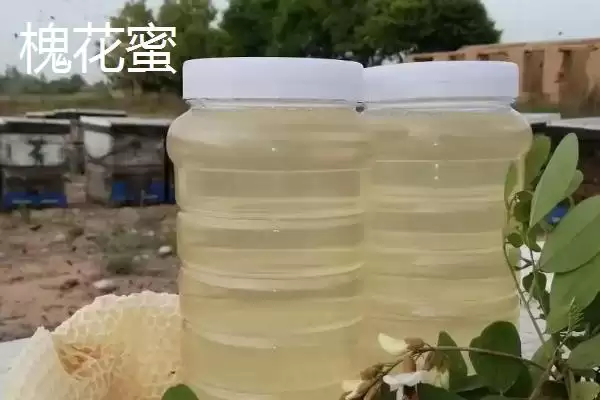 图片[6]-百花蜜为何适合在晚餐1-2小时后饮用？还有哪些食用方法？-会东网