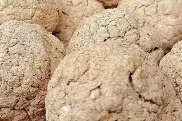 图片[4]-豆腐渣做肥料的发酵时间为何与温度有关？如何根据温度快速发酵豆腐渣做肥料？-会东网