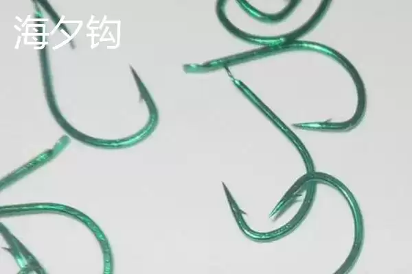图片[3]-用并继竿钓鲫鱼，袖钩、海夕钩、伊豆钩哪种更合适？-会东网