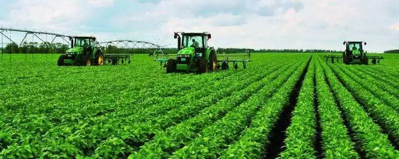 嘉豆16大豆种子，中等肥力地块1万株的种植密度合适吗？-会东网