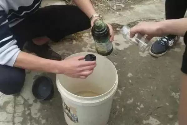 图片[4]-敌敌畏对蜜蜂、瓢虫和食蚜虻有较强杀伤力，使用敌敌畏时如何减少对有益生物的影响？敌敌畏的特点及使用注意事项还有哪些？-会东网