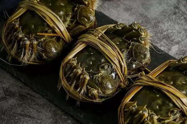 图片[5]-洪湖市大闸蟹品质佳，当地苛刻的水域环境起到了哪些关键作用？-会东网