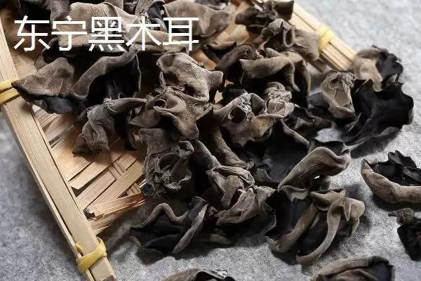 图片[2]-黑龙江牡丹江市的响水大米驰名中外，是什么造就了它的高品质？-会东网