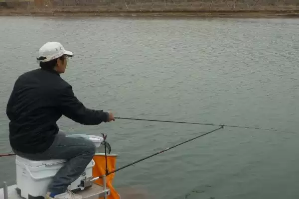 图片[2]-夏季为何全天均可钓鲢鳙？钓鲢鳙的适宜时间还受哪些因素影响？-会东网