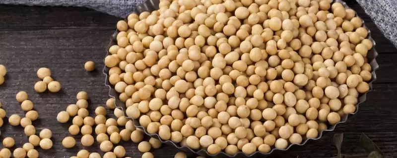 川豆155大豆种子,花荚期防治豆荚螟及蝽蟓的有效药剂和方法有哪些?-会东网