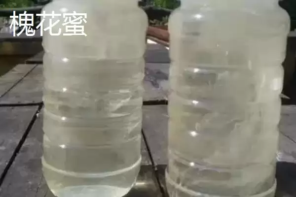 图片[4]-百花蜜为何适合在晚餐1-2小时后饮用？还有哪些食用方法？-会东网