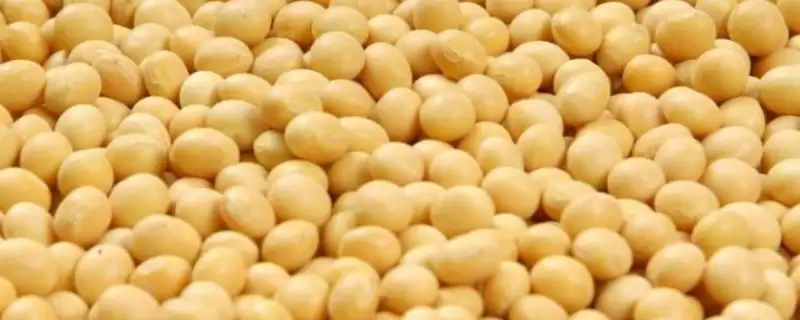 德顺14号大豆品种,在适应区5月上旬播种的气候和土壤条件有哪些要求?-会东网