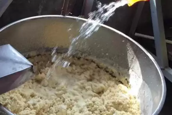 图片[3]-豆浆浇花为何需充分发酵后使用？发酵后的豆浆对花卉有哪些营养成分？-会东网
