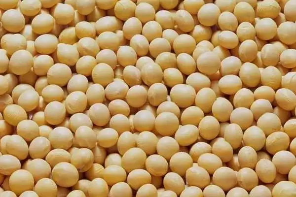 图片[4]-华豆15大豆品种，防治病虫害有哪些实用的技巧？-会东网
