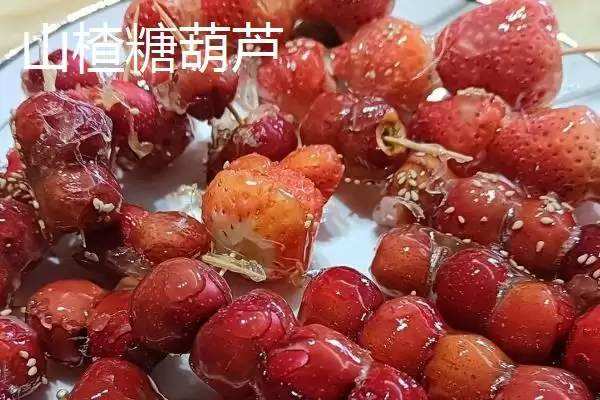 图片[4]-河北容城县的容城绿芦笋、白肉火烧等特产，有哪些独特的风味和价值？-会东网