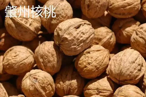 图片[4]-黑龙江大庆作为中国最大的石油石化基地，对当地农业发展有什么影响？-会东网
