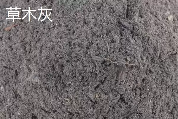 图片[5]-大棚韭菜对肥料需求不高，那应该如何科学施肥以保证产量和品质？大棚韭菜专用肥有哪些特点？-会东网