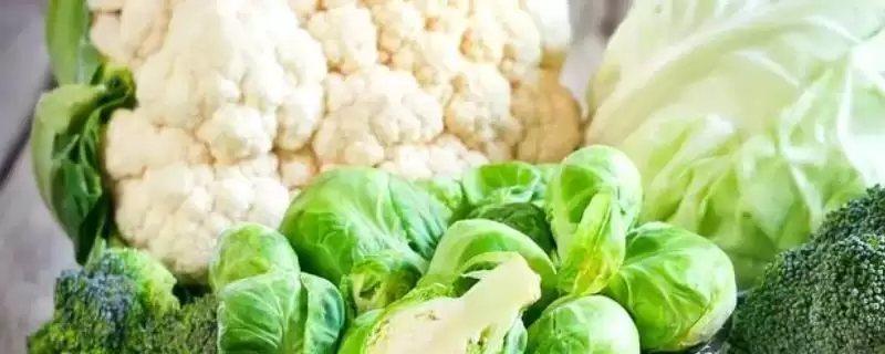 氟乐灵乳油、嗪草酮可湿性粉剂等除草剂,为何适合豆类蔬菜?豆类蔬菜选除草剂还有哪些注意事项?-会东网