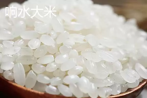 图片[16]-黑龙江省依安县的依安紫花油豆角、依安甜菜等特产，是如何培育出特色的？-会东网