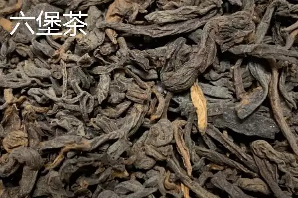 图片[5]-广西梧州市的上汤河粉作为特色美食，它的独特风味是如何形成的？-会东网