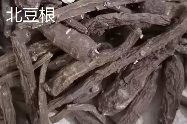 图片[3]-北豆根为什么一般3-4年就可以收获？生长过程是怎样的？-会东网
