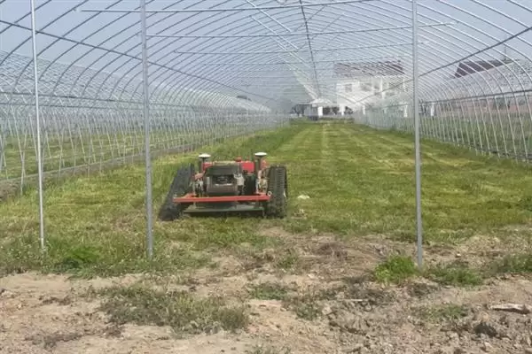 图片[2]-施肥时用充分腐熟的有机肥，真的能有效防治地蚕吗？防治地蚕还有哪些土办法？-会东网