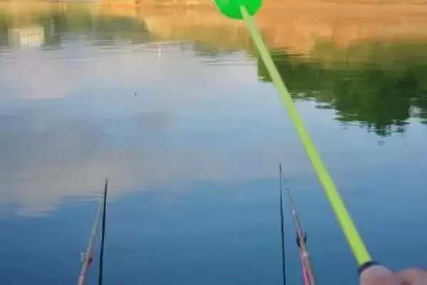 图片[4]-钓淡水鲳鱼首选荤饵，荤饵的哪些特点吸引了淡水鲳鱼？钓淡水鲳鱼还有哪些饵料选择？-会东网