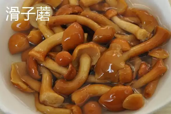 图片[8]-黑龙江牡丹江市的响水大米驰名中外，是什么造就了它的高品质？-会东网