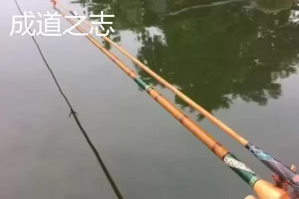 图片[9]-用并继竿钓鲫鱼，袖钩、海夕钩、伊豆钩哪种更合适？-会东网