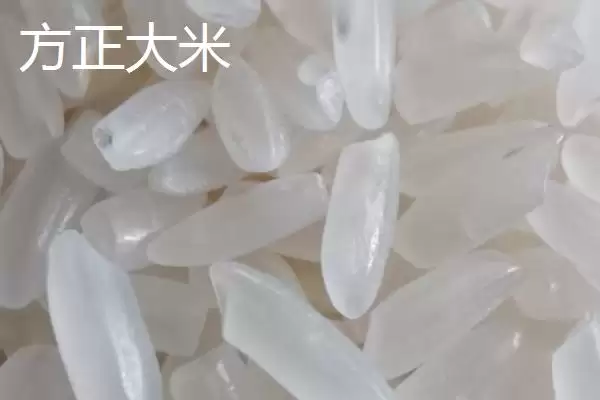 图片[4]-黑龙江省哈尔滨市方正县的得莫利炖鱼有一百多年历史，它的独特风味是怎样形成的？-会东网