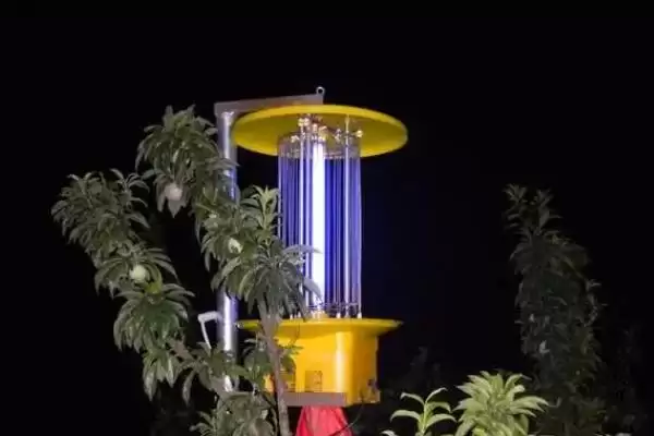 图片[4]-根潜蝇、二条叶甲等是大豆苗期虫害，它们对大豆幼苗的危害方式和程度是怎样的？大豆苗期虫害还有哪些？-会东网