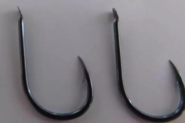 图片[6]-夏季为何全天均可钓鲢鳙？钓鲢鳙的适宜时间还受哪些因素影响？-会东网