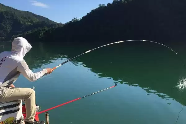 图片[6]-伊势尼钩、千又钩、小矶钩钓鲢鱼各有什么优势？如何根据实际情况选择？-会东网
